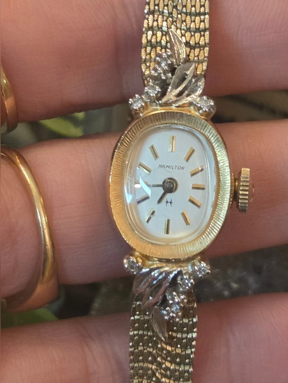 N/A ladies hamilton